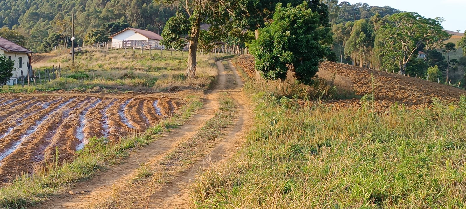 Fazenda com casas, excelente para plantio ou pecuária, varias nascentes | Camanducaia - MG
