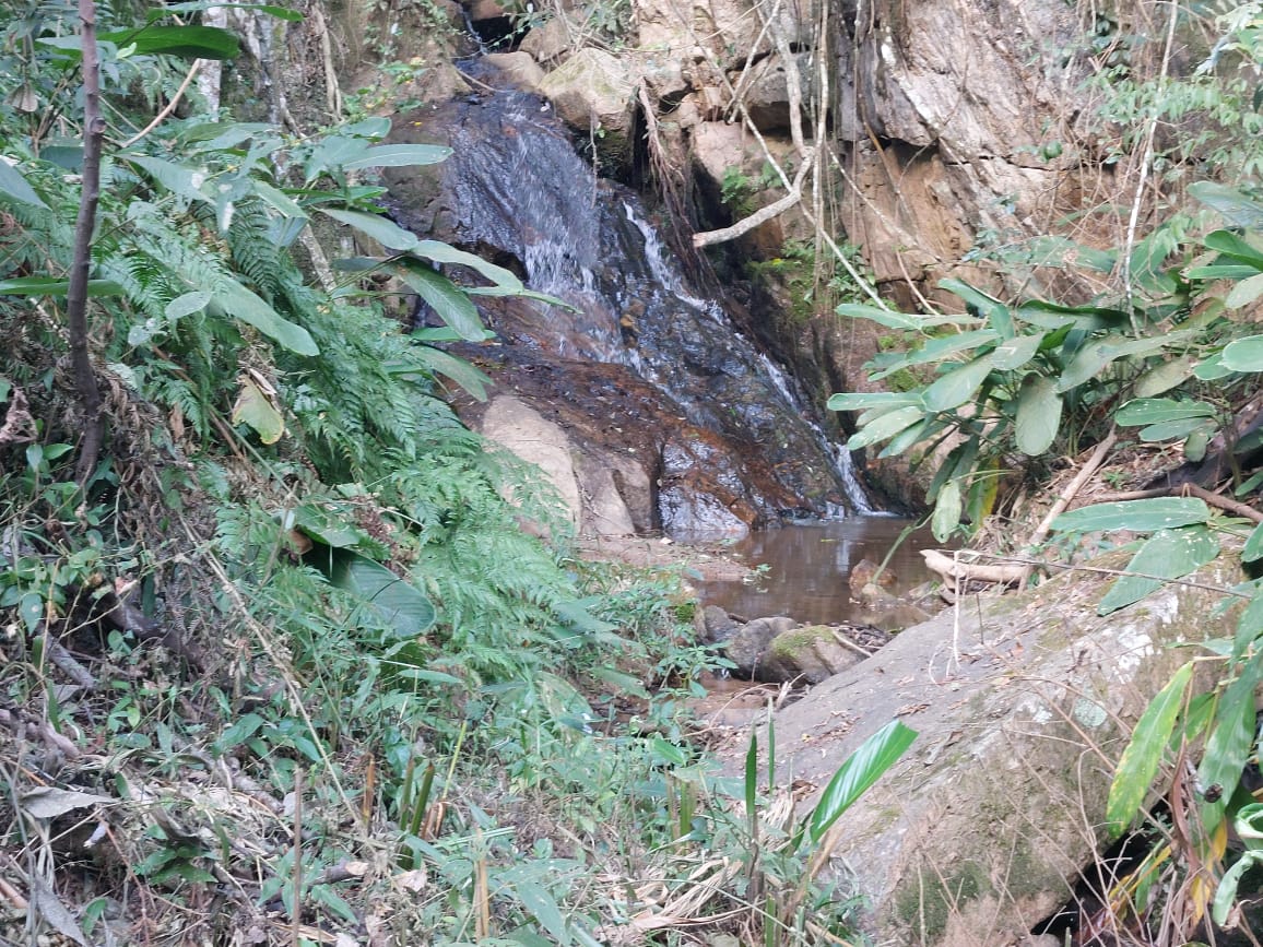 Belíssima propriedade com nascente,  cachoeira, Localizada em Camanducaia -  MG Código: 1100