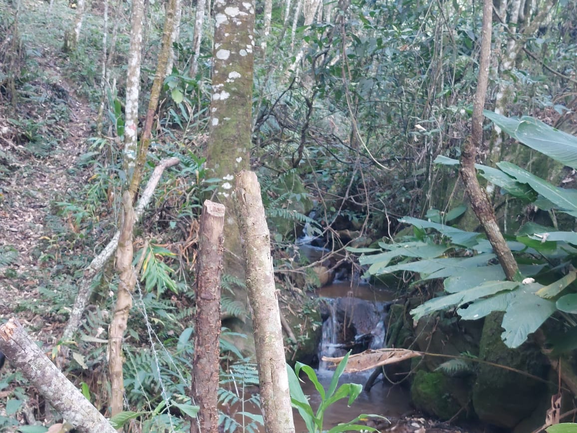 Belíssima propriedade com nascente,  cachoeira, Localizada em Camanducaia -  MG Código: 1100