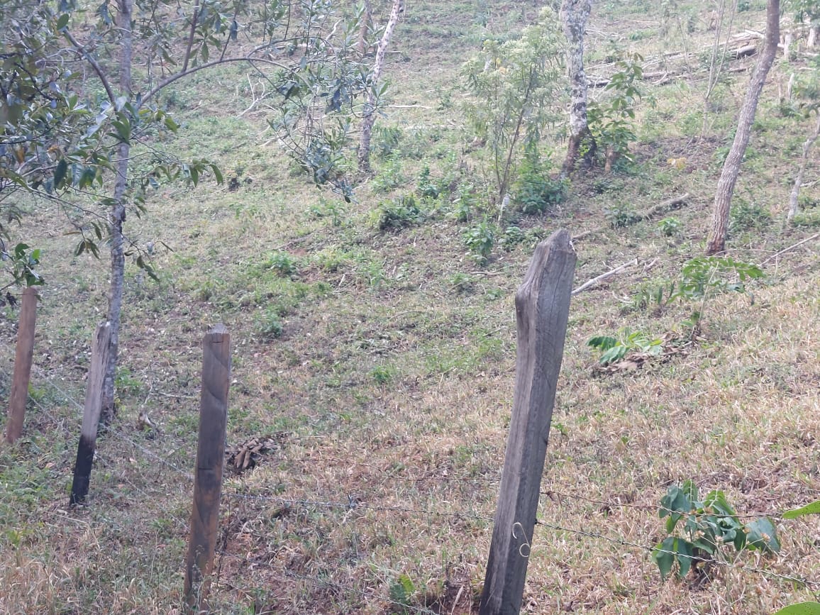 Belíssima propriedade com nascente,  cachoeira, Localizada em Camanducaia -  MG Código: 1100