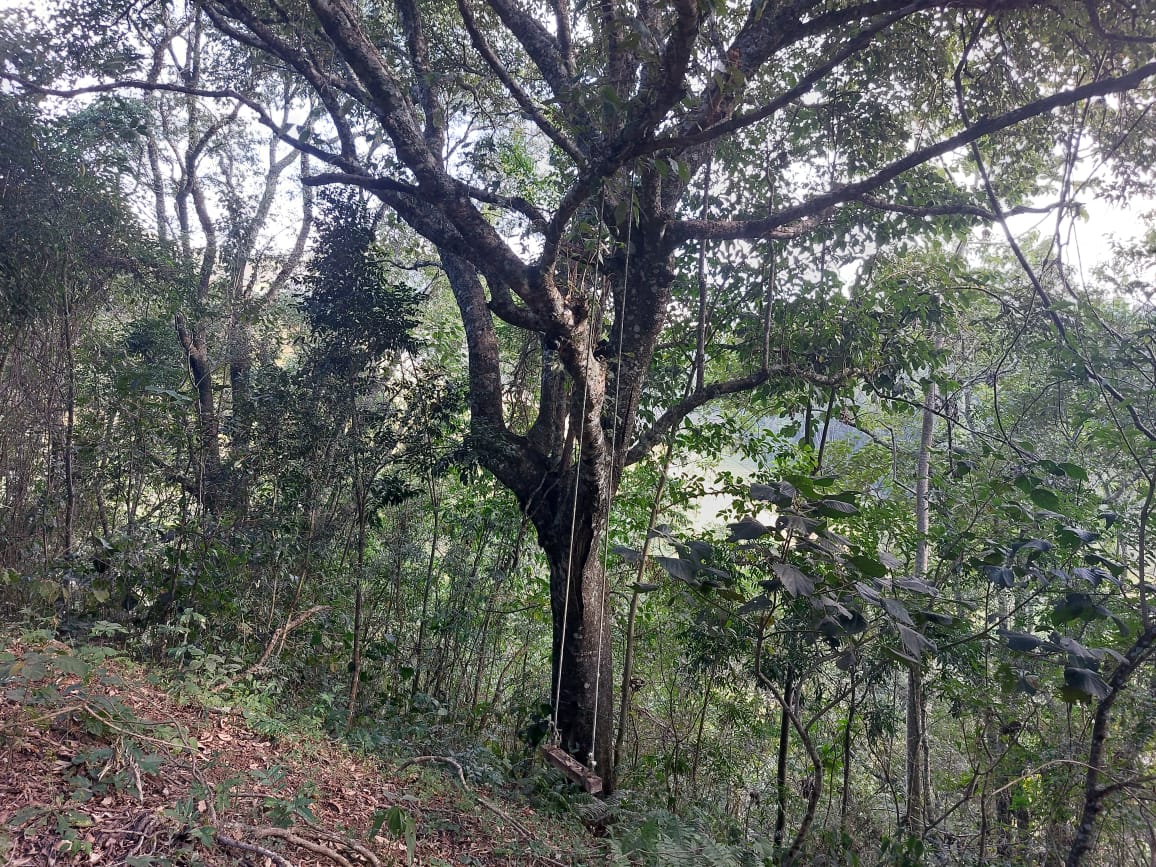 Belíssima propriedade com nascente,  cachoeira, Localizada em Camanducaia -  MG Código: 1100