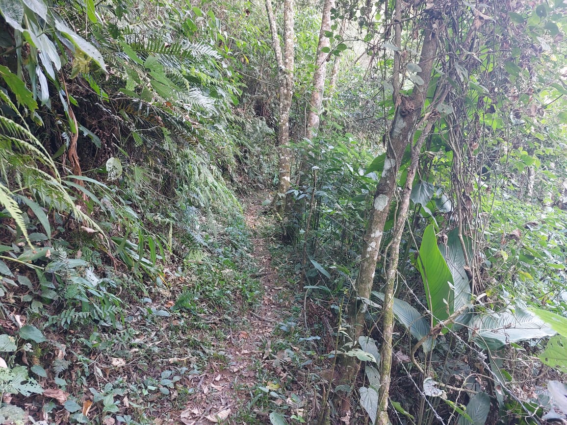 Belíssima propriedade com nascente,  cachoeira, Localizada em Camanducaia -  MG Código: 1100