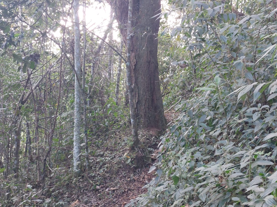 Belíssima propriedade com nascente,  cachoeira, Localizada em Camanducaia -  MG Código: 1100