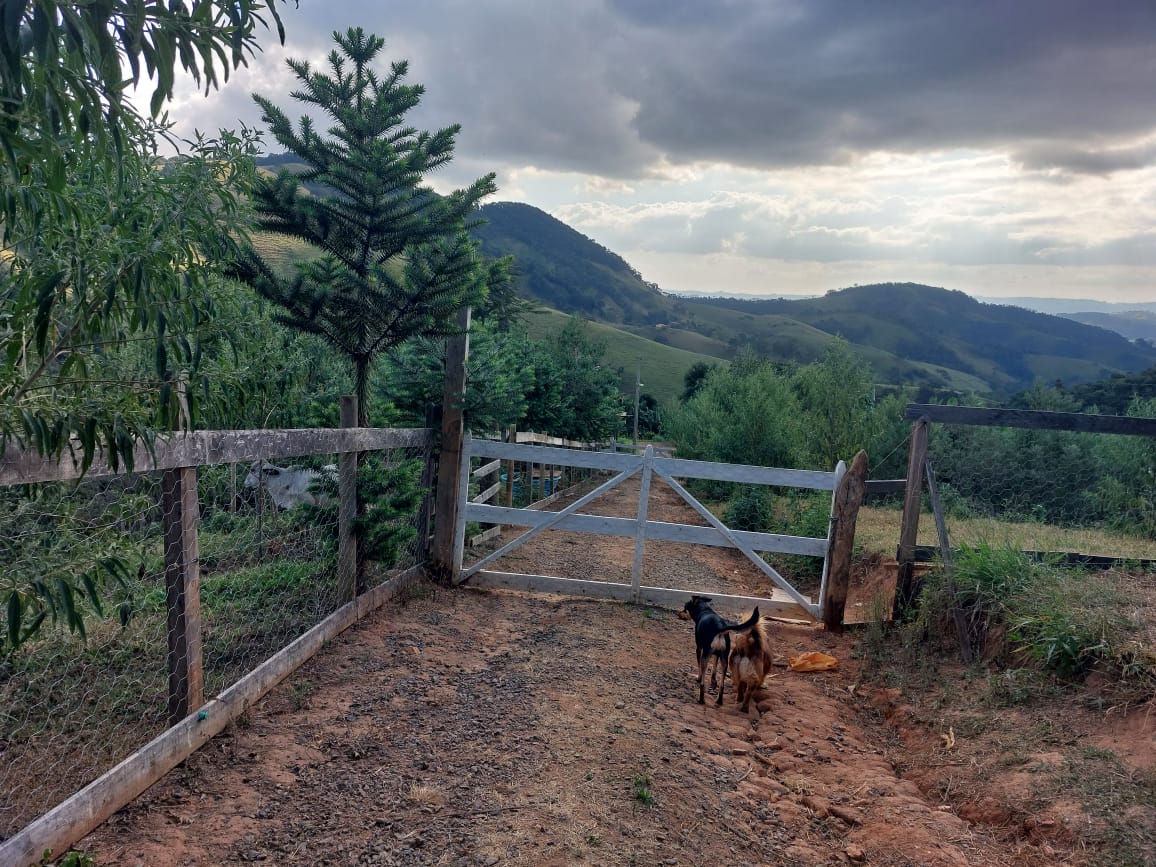 Belíssima propriedade com nascente,  cachoeira, Localizada em Camanducaia -  MG Código: 1100