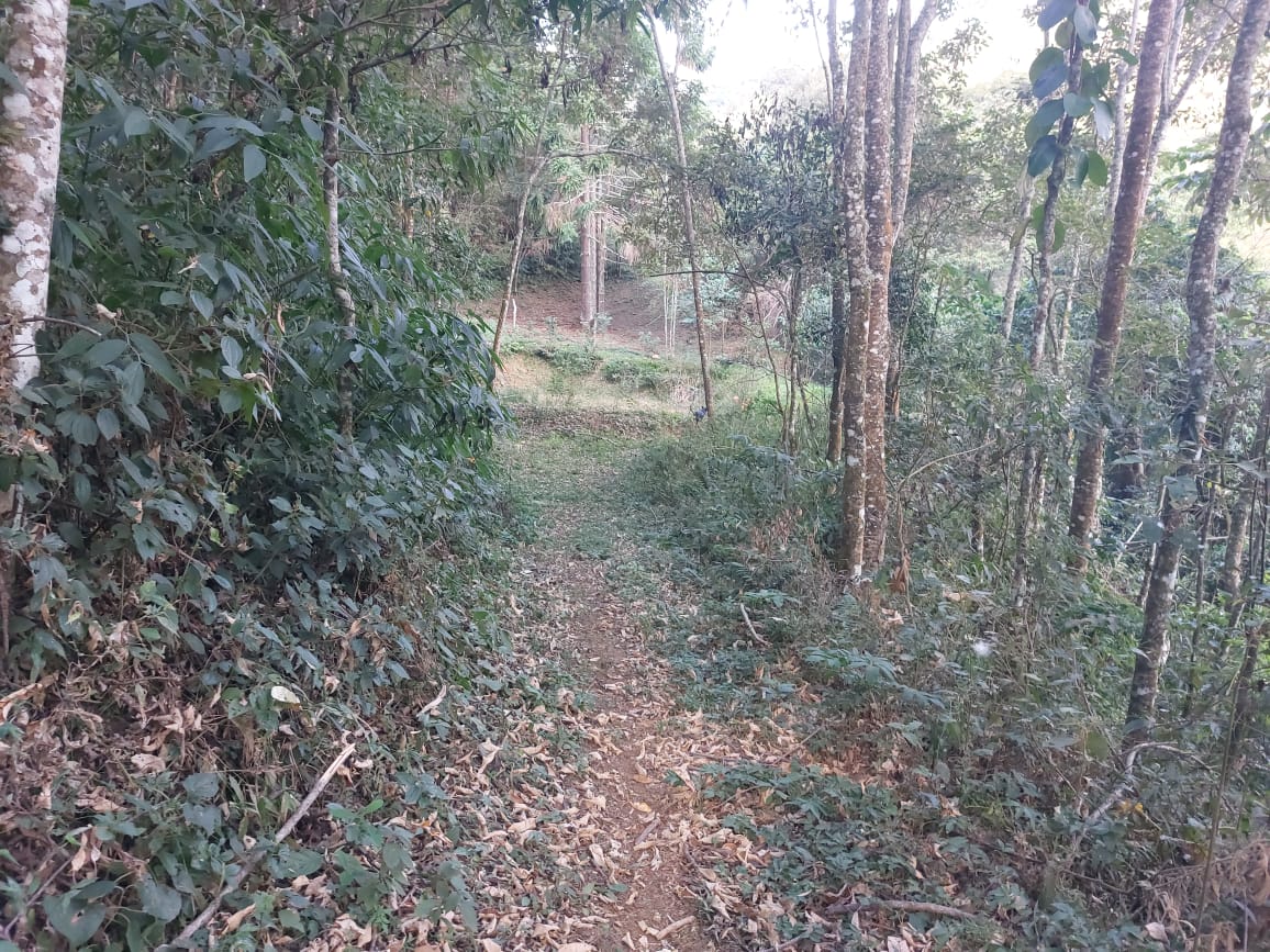 Belíssima propriedade com nascente,  cachoeira, Localizada em Camanducaia -  MG Código: 1100