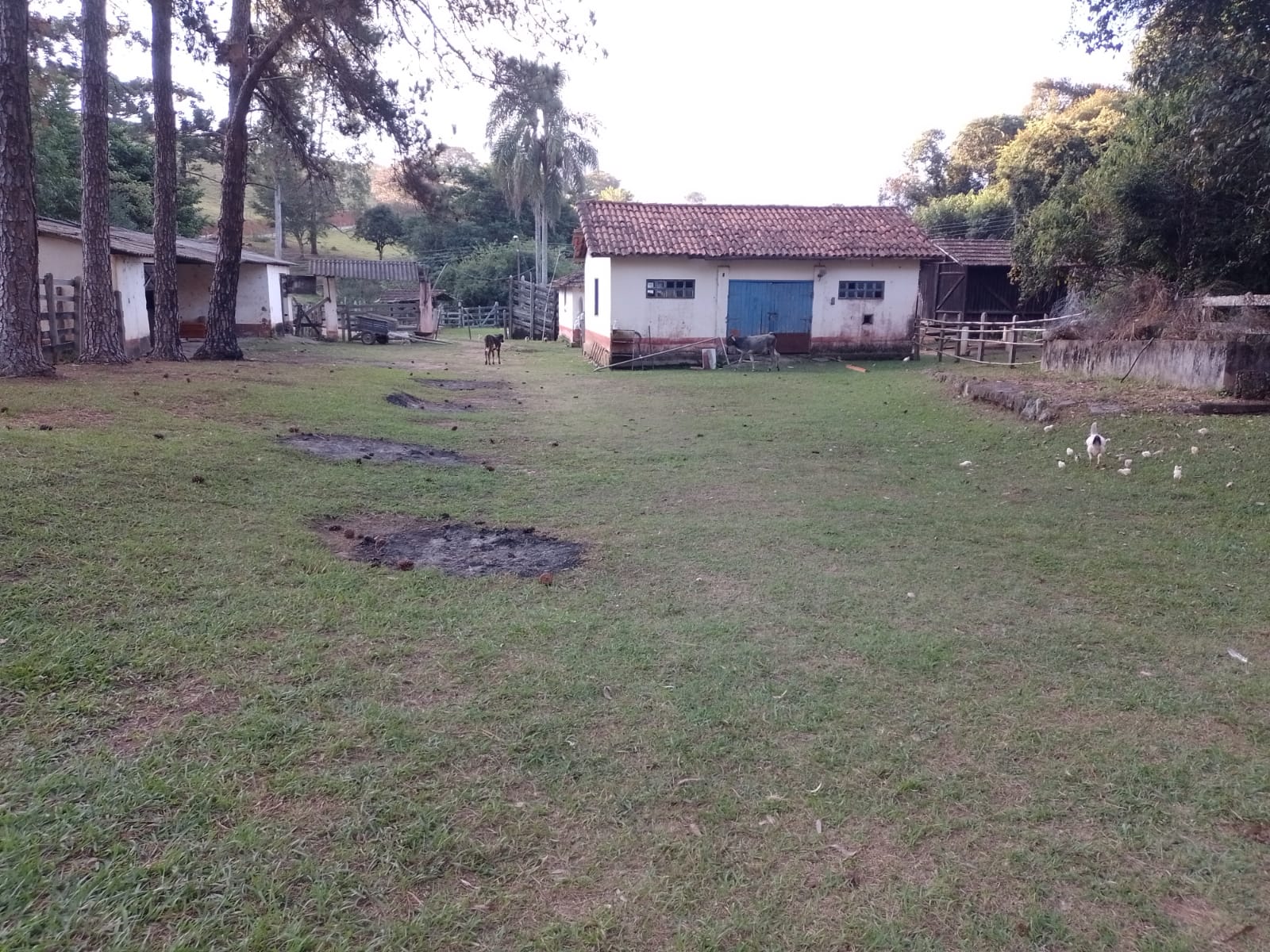 Fazendinha para empreendimento turístico, com varias casas, piscina, nascentes, lago Código 1101