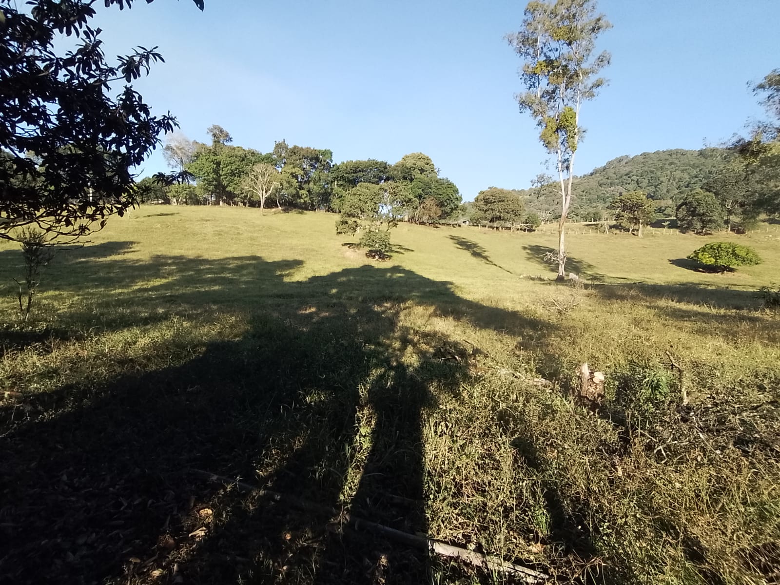 Fazendinha para empreendimento turístico, com varias casas, piscina, nascentes, lago Código 1101