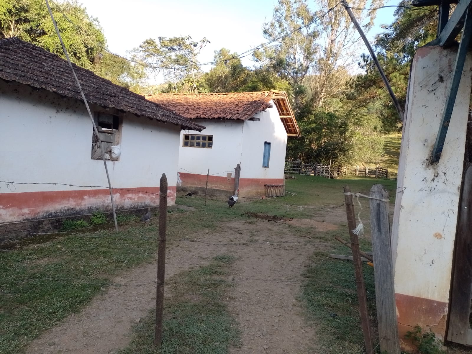 Fazendinha para empreendimento turístico, com varias casas, piscina, nascentes, lago Código 1101