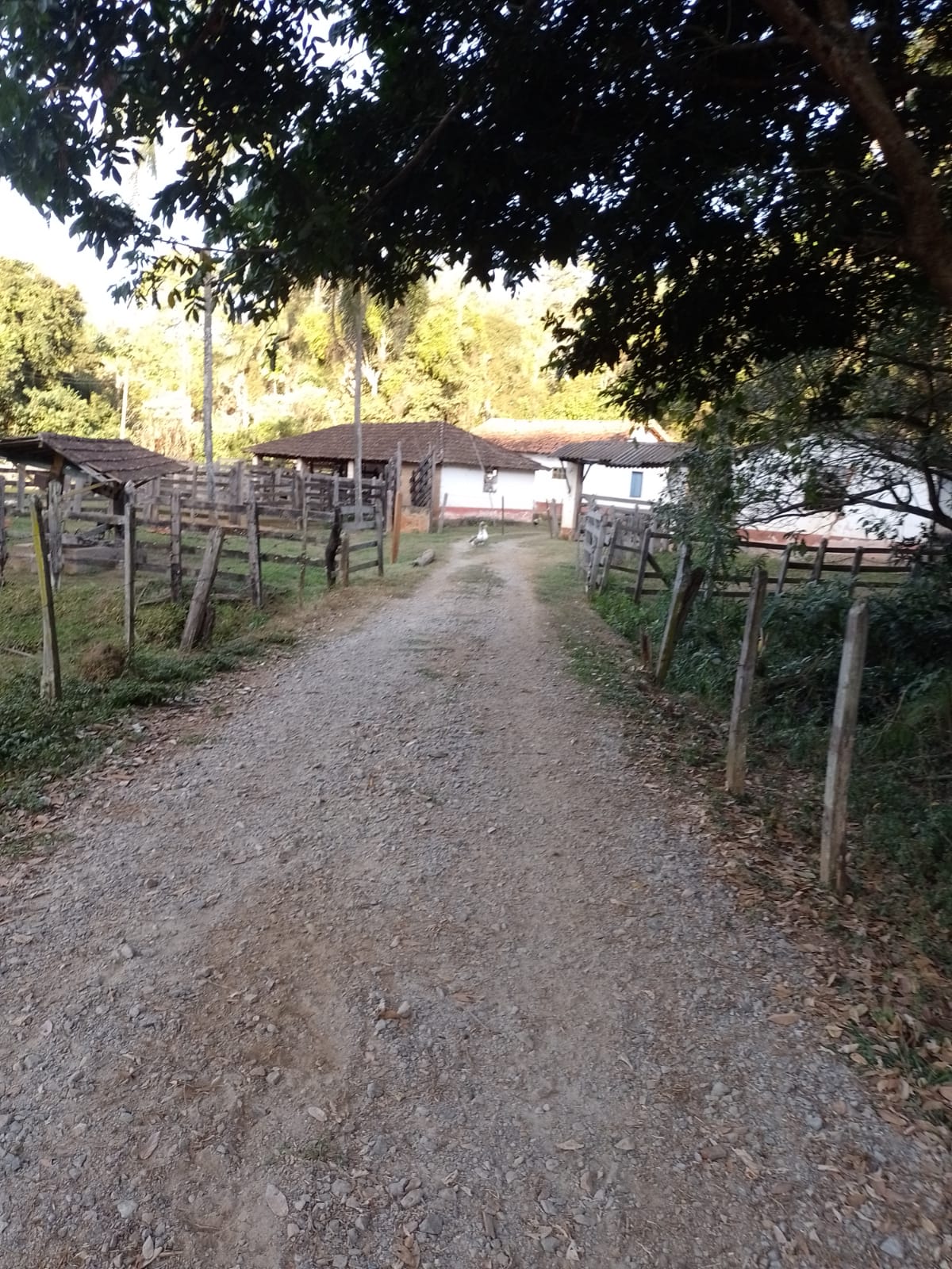 Fazendinha para empreendimento turístico, com varias casas, piscina, nascentes, lago Código 1101