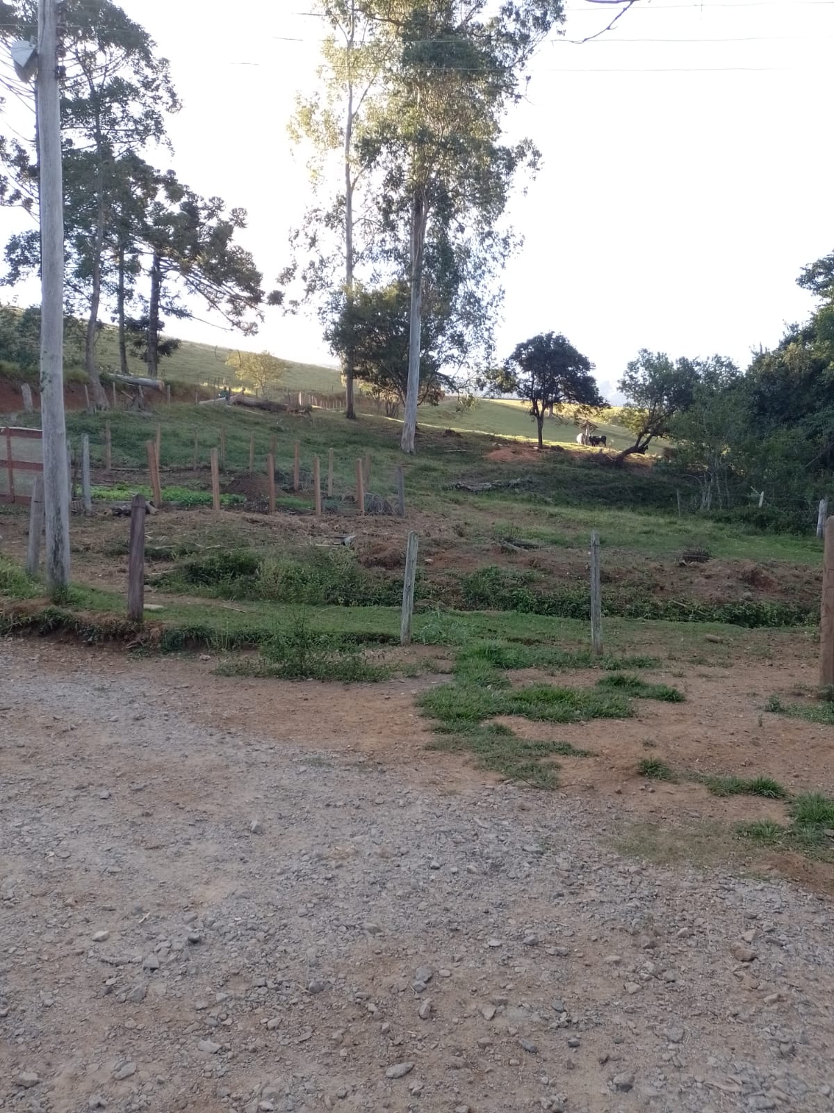 Fazendinha para empreendimento turístico, com varias casas, piscina, nascentes, lago Código 1101