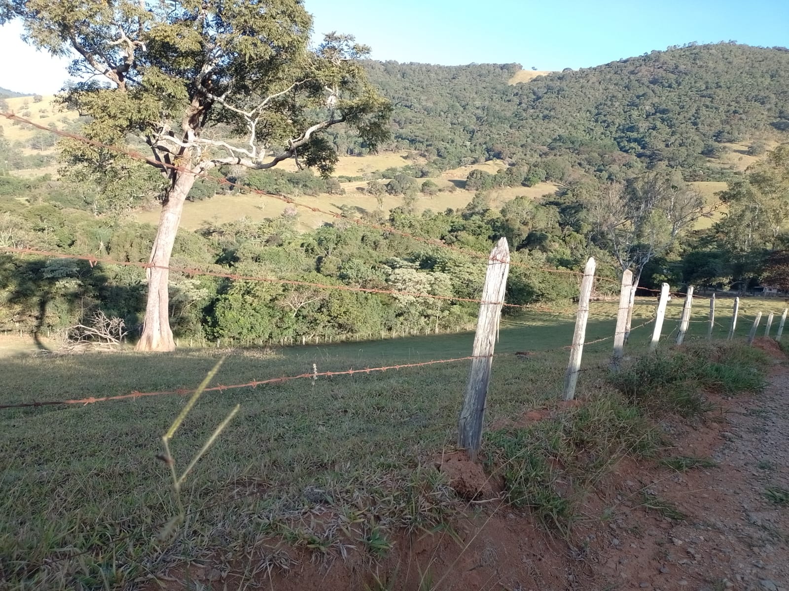 Fazendinha para empreendimento turístico, com varias casas, piscina, nascentes, lago Código 1101