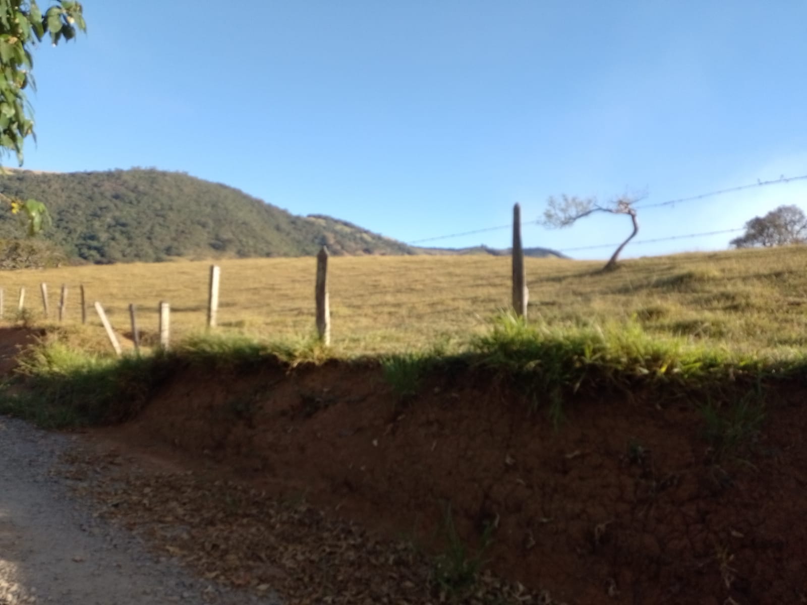 Fazendinha para empreendimento turístico, com varias casas, piscina, nascentes, lago Código 1101