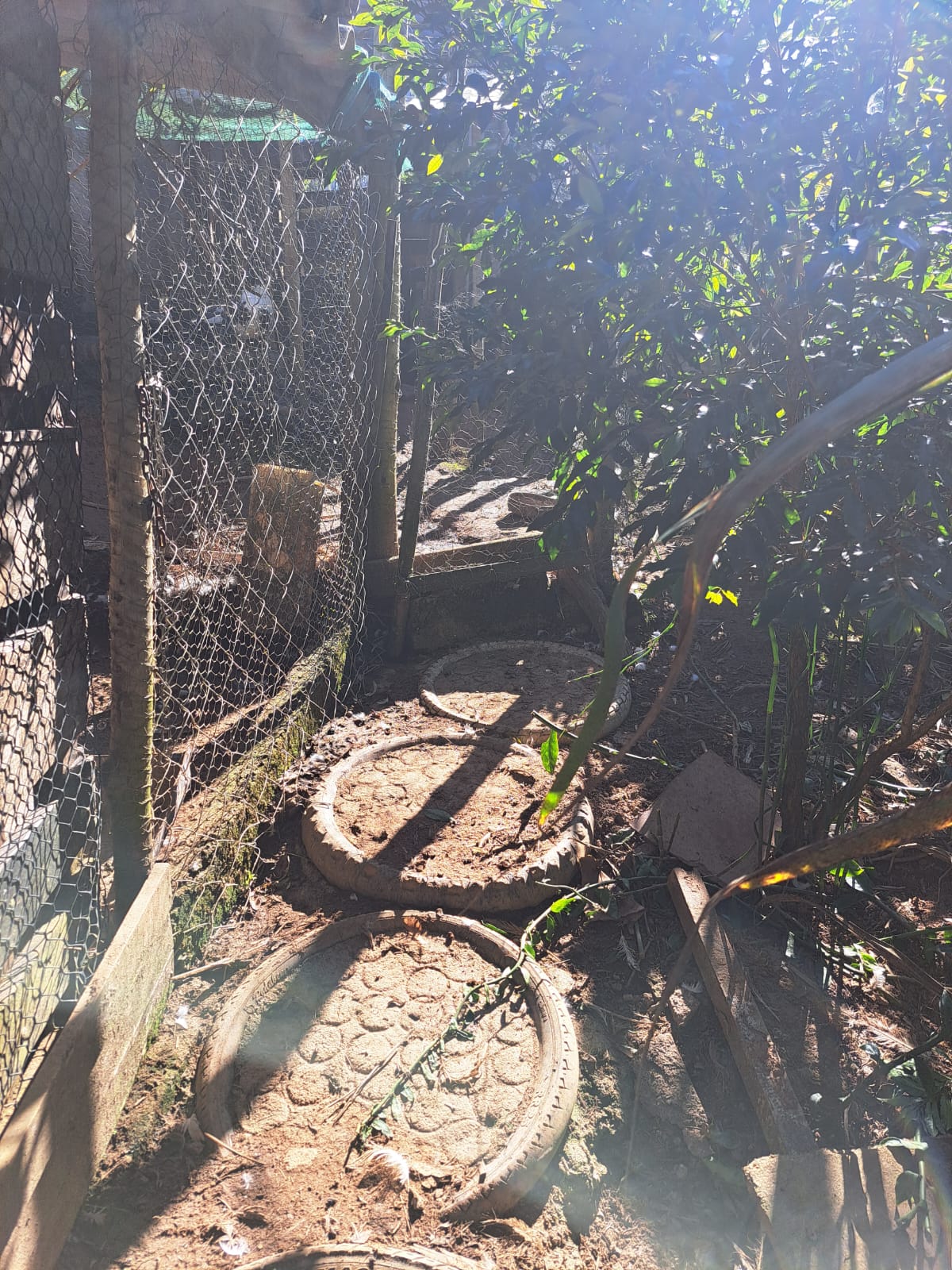 Linda chácara - casa com 3 Quartos espaçosos  2-Banheiro social em Munhoz - MG