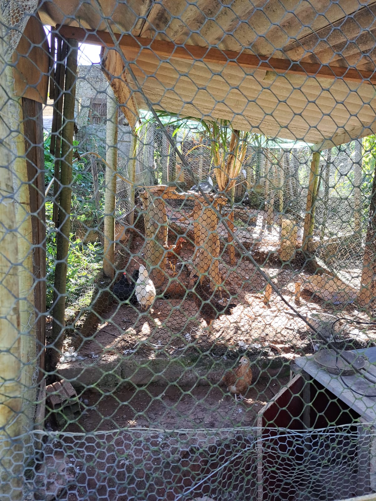 Linda chácara - casa com 3 Quartos espaçosos  2-Banheiro social em Munhoz - MG