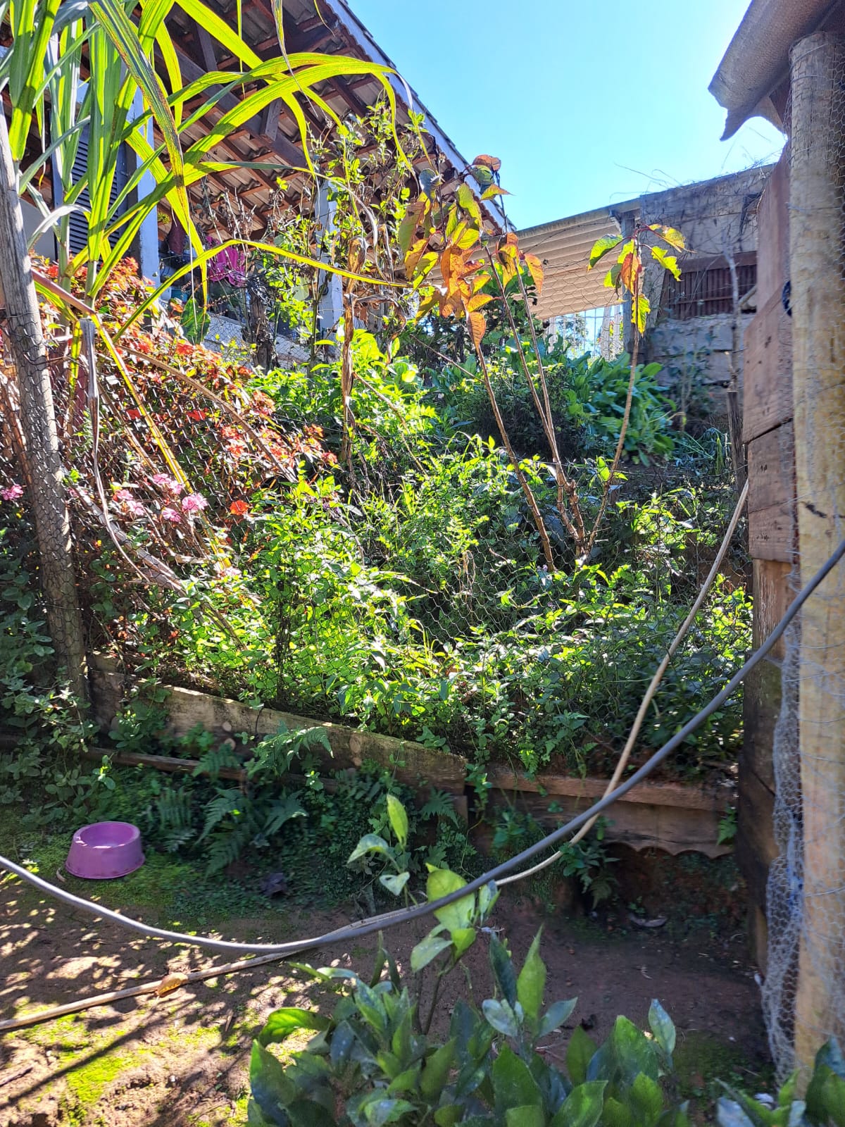 Linda chácara - casa com 3 Quartos espaçosos  2-Banheiro social em Munhoz - MG