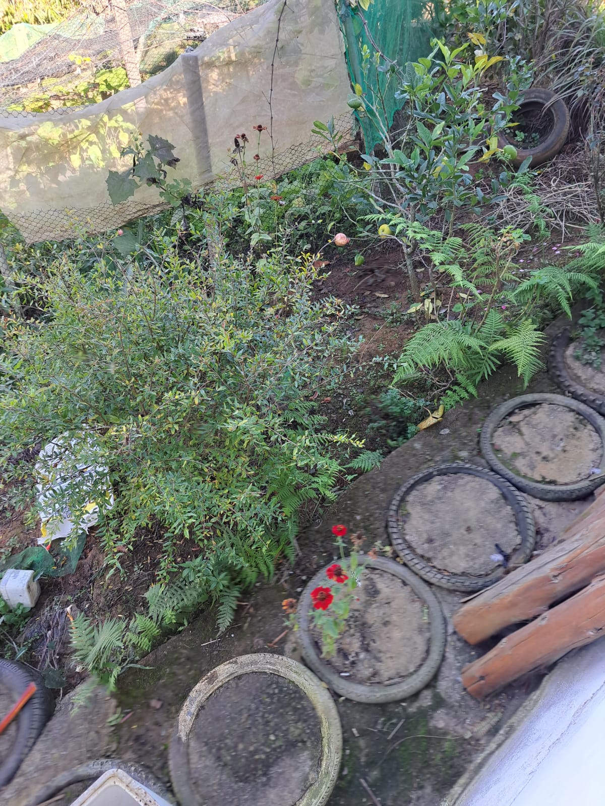 Linda chácara - casa com 3 Quartos espaçosos  2-Banheiro social em Munhoz - MG