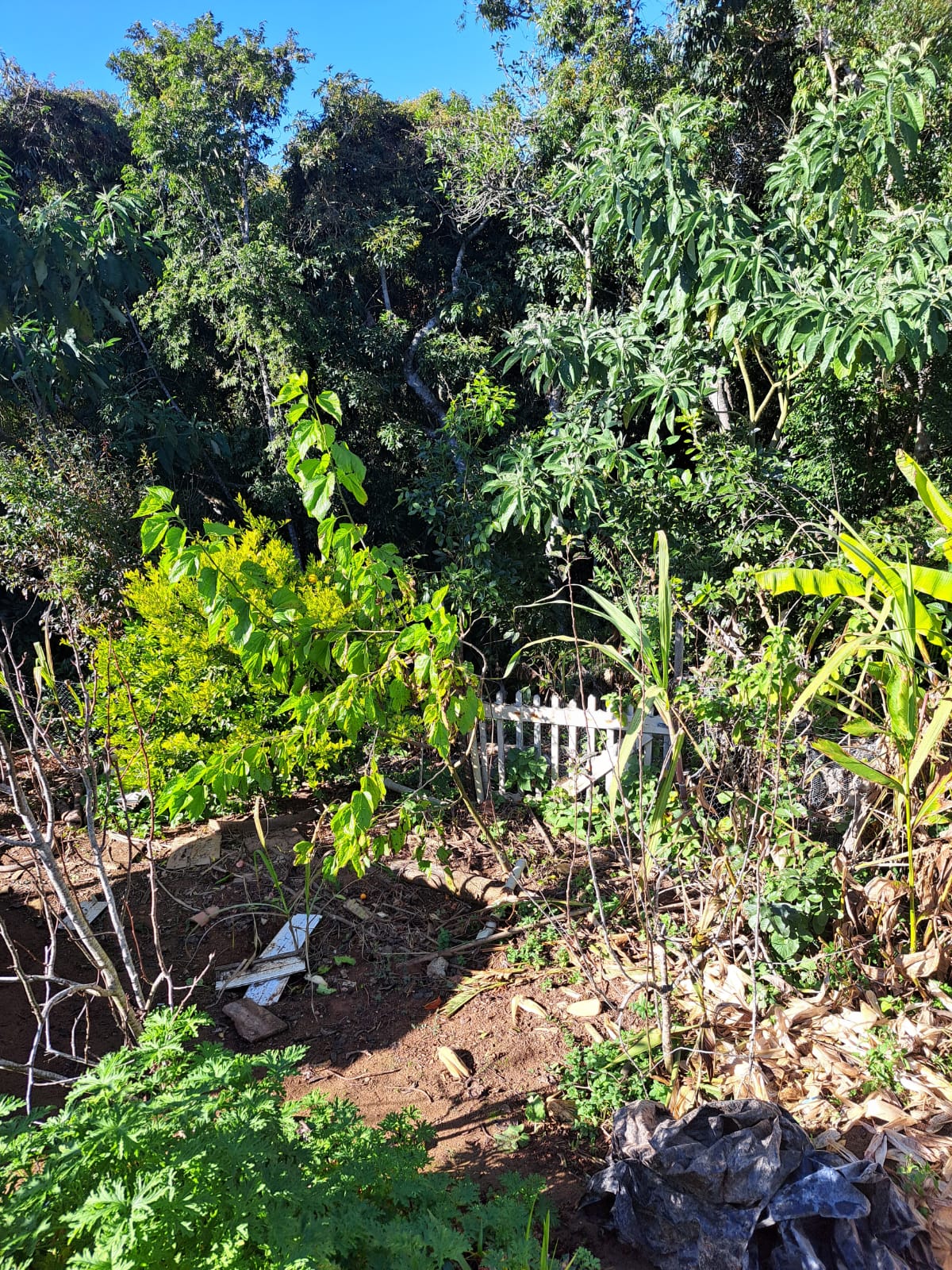 Linda chácara - casa com 3 Quartos espaçosos  2-Banheiro social em Munhoz - MG