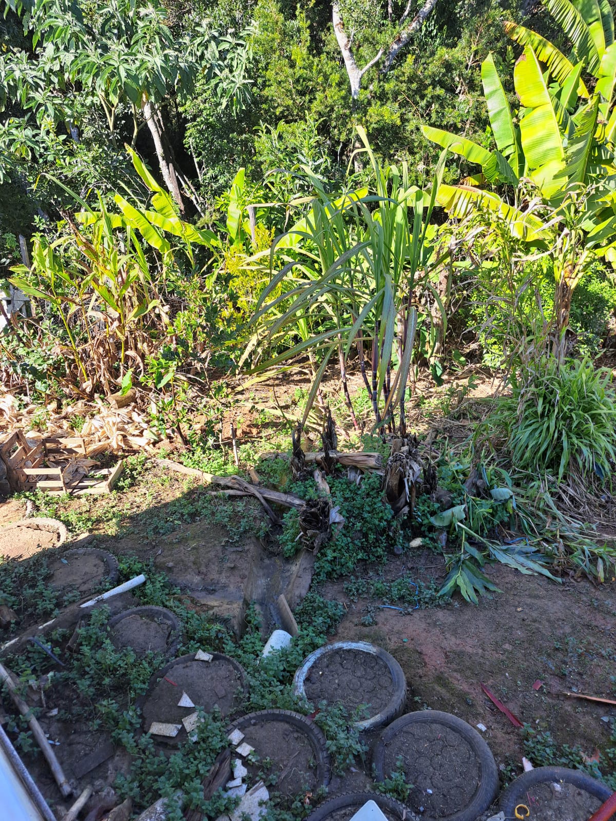 Linda chácara - casa com 3 Quartos espaçosos  2-Banheiro social em Munhoz - MG