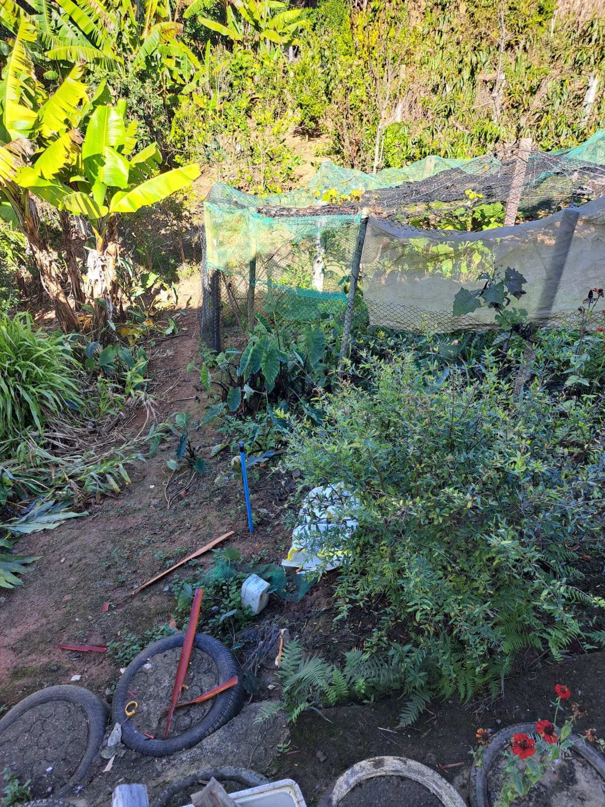 Linda chácara - casa com 3 Quartos espaçosos  2-Banheiro social em Munhoz - MG