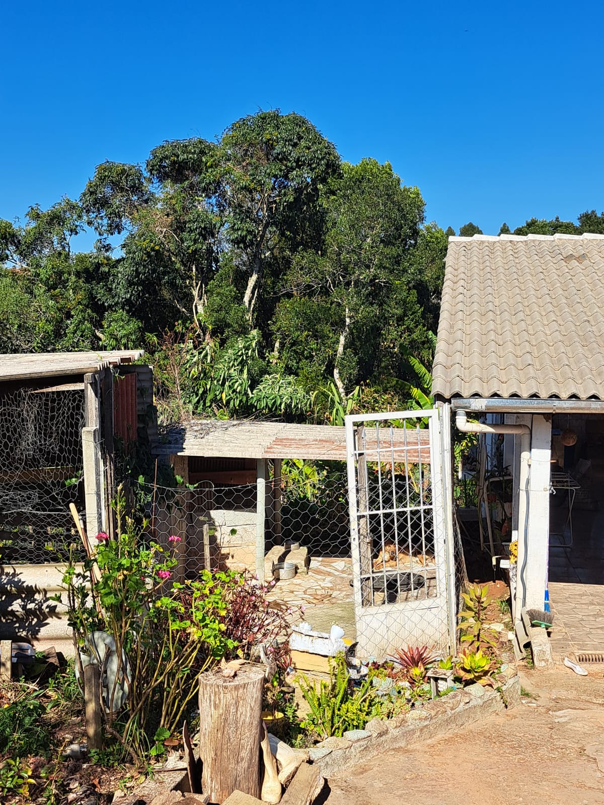 Linda chácara - casa com 3 Quartos espaçosos  2-Banheiro social em Munhoz - MG