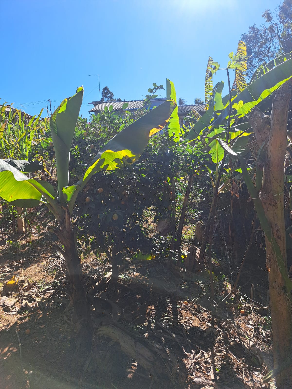 Linda chácara - casa com 3 Quartos espaçosos  2-Banheiro social em Munhoz - MG