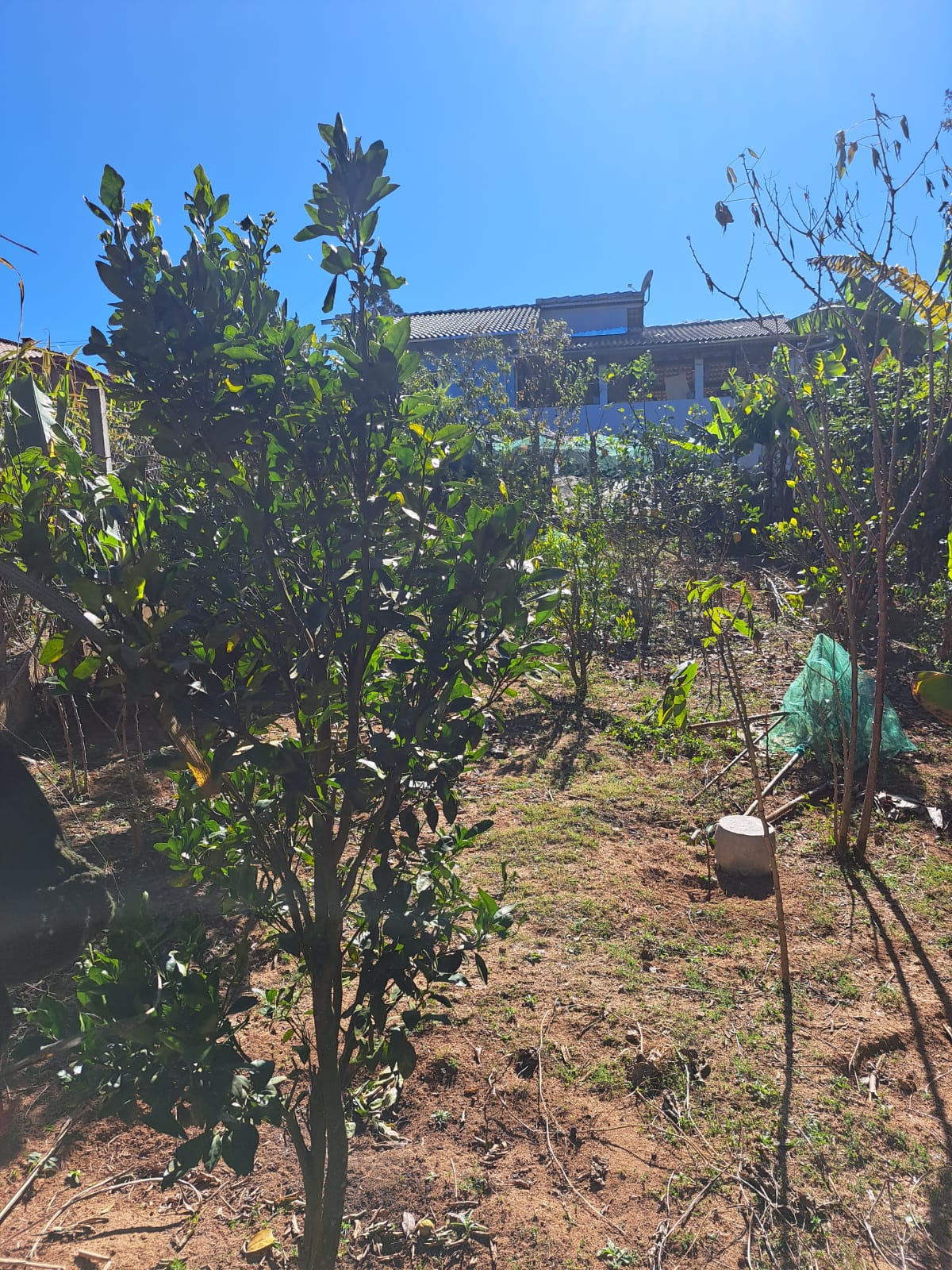 Linda chácara - casa com 3 Quartos espaçosos  2-Banheiro social em Munhoz - MG