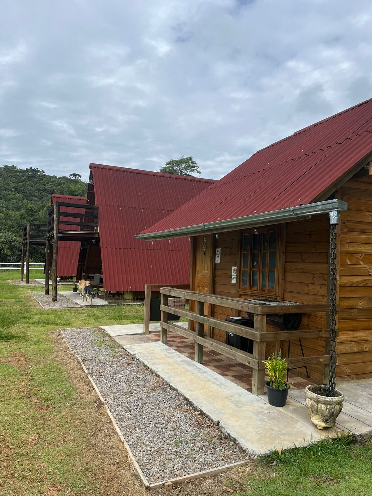 Encante-se - Sítio na Serra da Mantiqueira! Casa sede com 3 quartos, piscina, área gourmet Código 1114