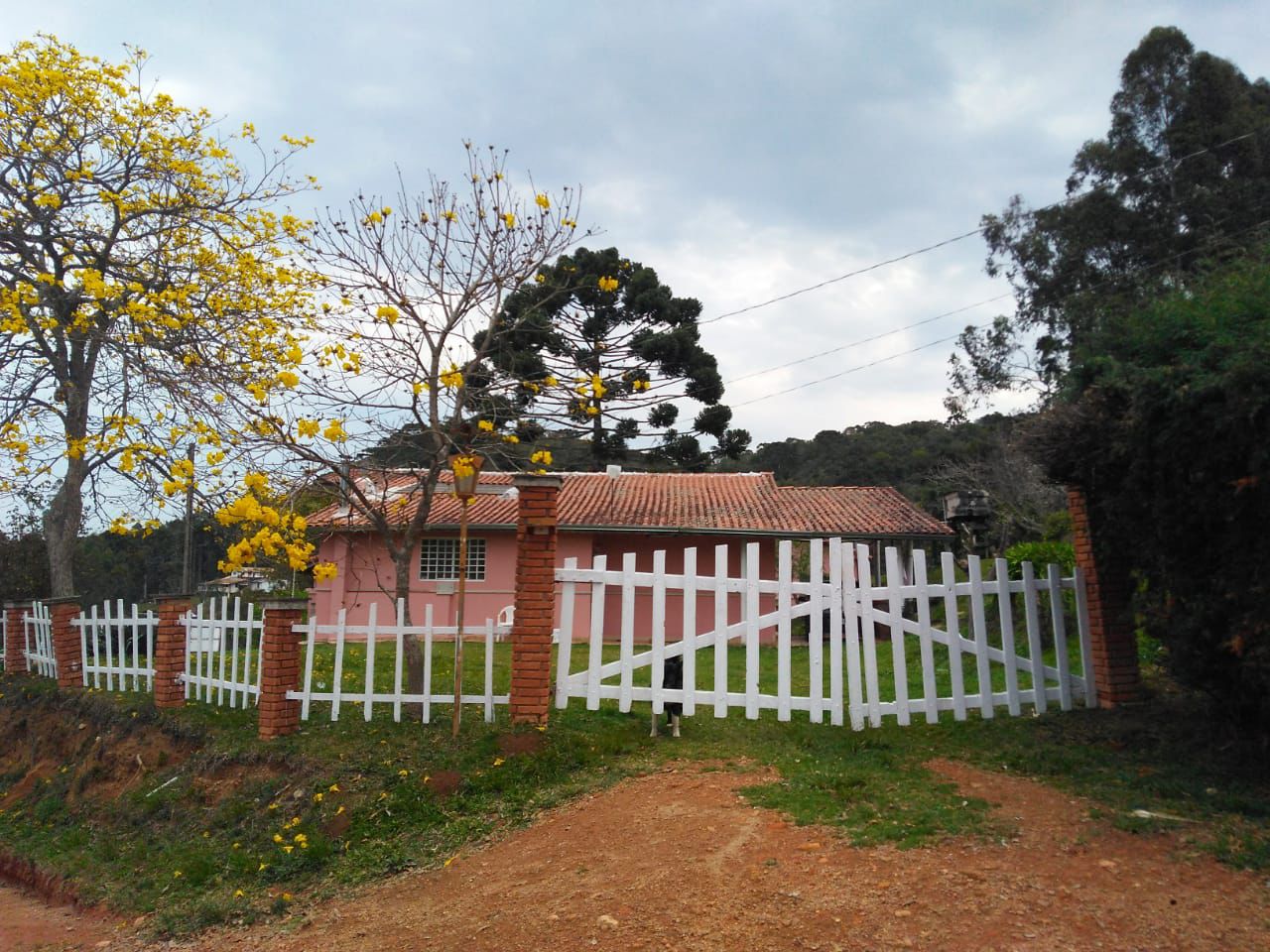 Encante-se - Sítio na Serra da Mantiqueira! Casa sede com 3 quartos, piscina, área gourmet Código 1114