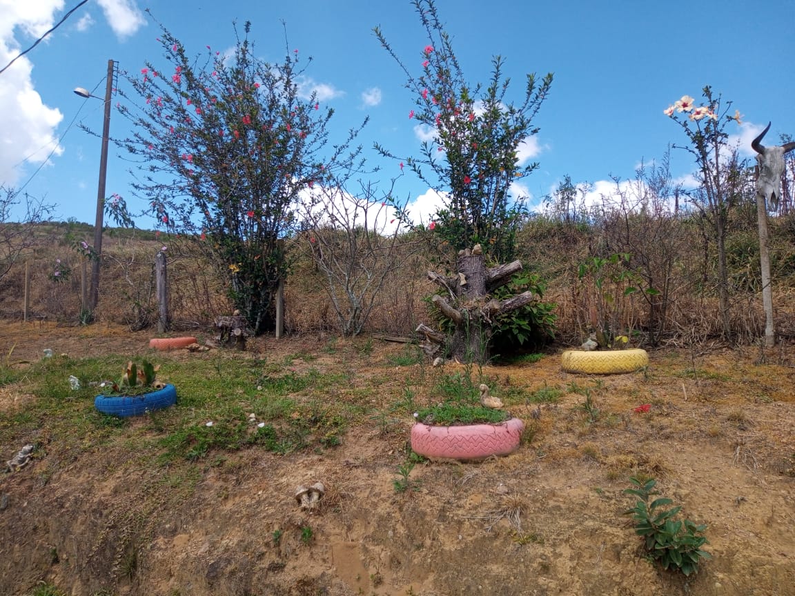 Chácara | casa com 4 quartos, 2 banheiros, lago, pomar. bom local em Munhoz - MG