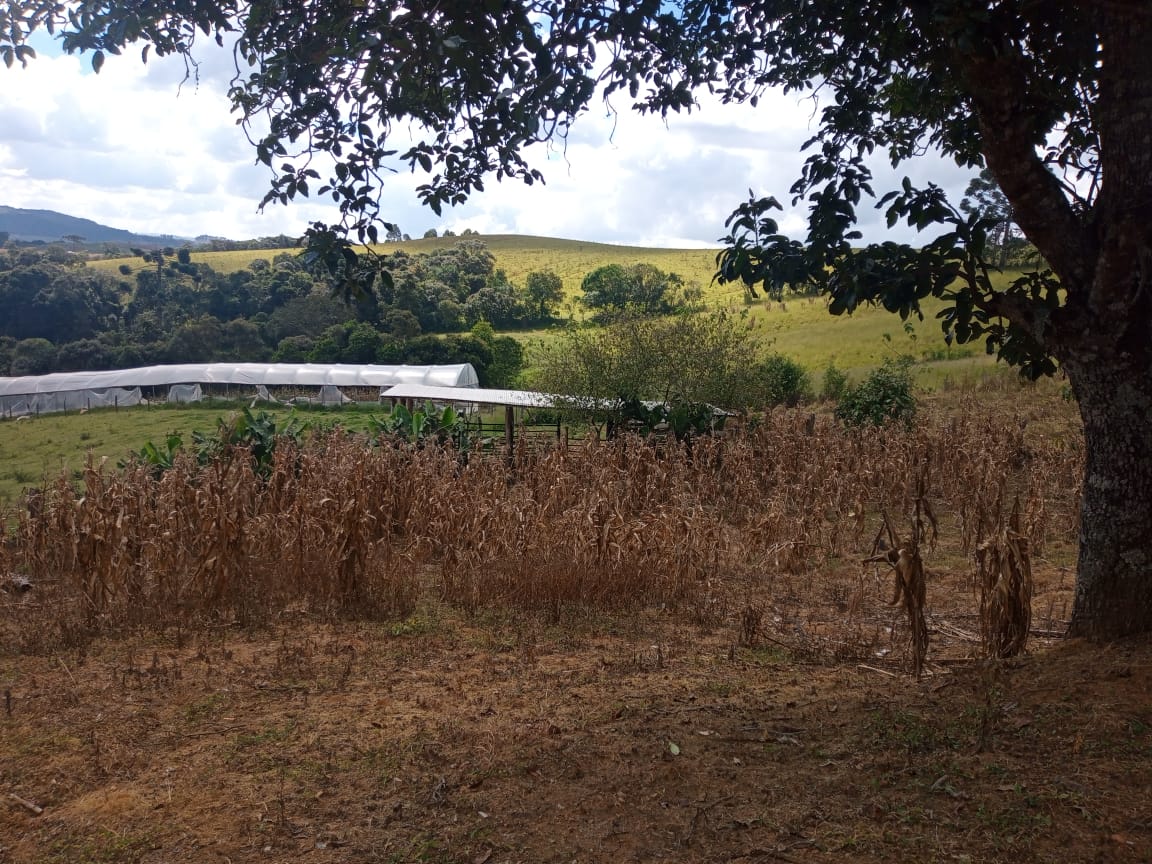 Chácara | casa com 4 quartos, 2 banheiros, lago, pomar. bom local em Munhoz - MG