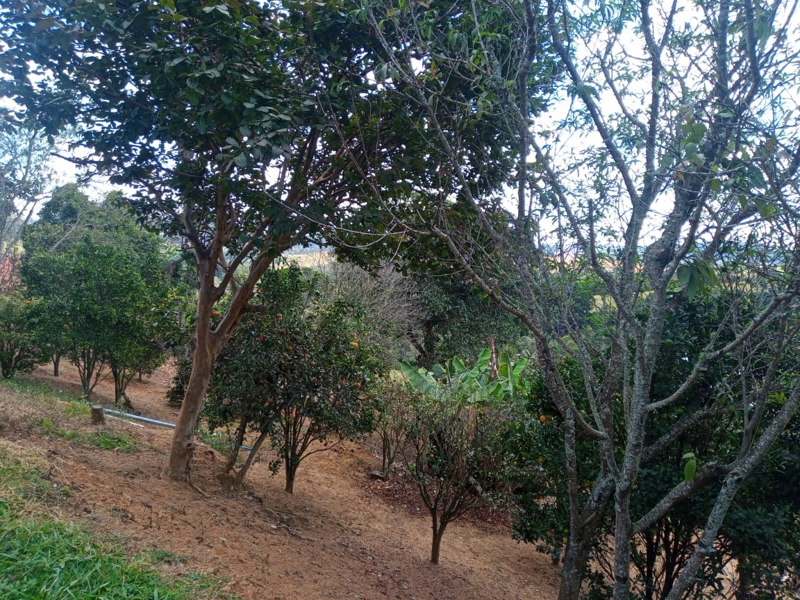 Chácara | casa com 4 quartos, 2 banheiros, lago, pomar. bom local em Munhoz - MG