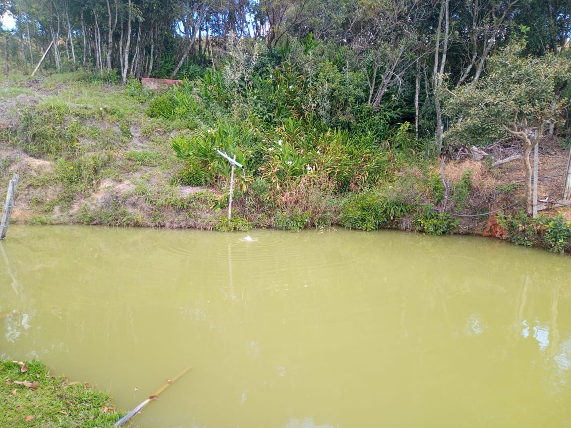 Chácara | casa com 4 quartos, 2 banheiros, lago, pomar. bom local em Munhoz - MG