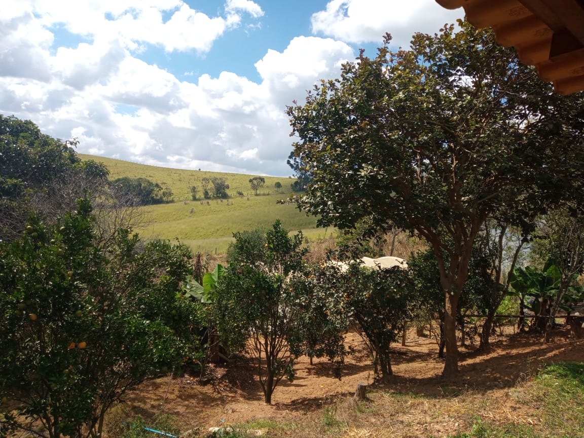 Chácara | casa com 4 quartos, 2 banheiros, lago, pomar. bom local em Munhoz - MG