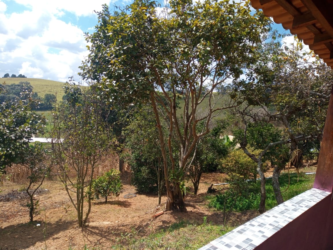 Chácara | casa com 4 quartos, 2 banheiros, lago, pomar. bom local em Munhoz - MG