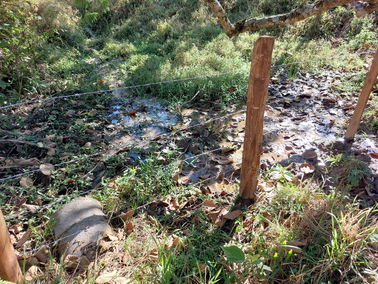 Belíssimo terreno , com rota turística entre os municípios de: Camanducaia, Extrema, Monte verde Código 1124