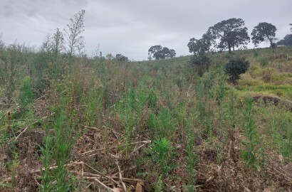 Terreno para Investimento turístico ou casa no campo em Extrema - MG Código 1125