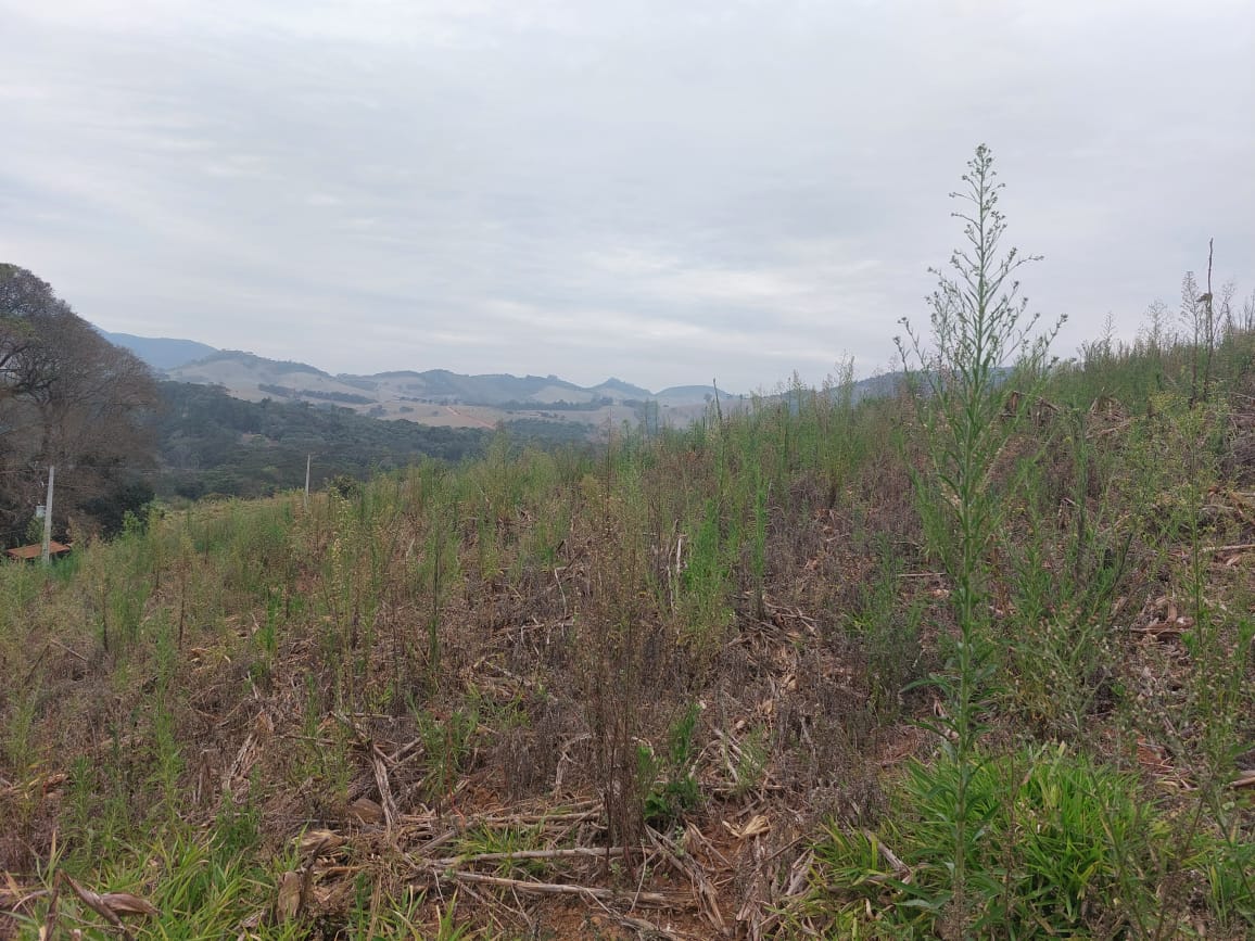 Terreno para Investimento turístico ou casa no campo em Extrema - MG Código 1125