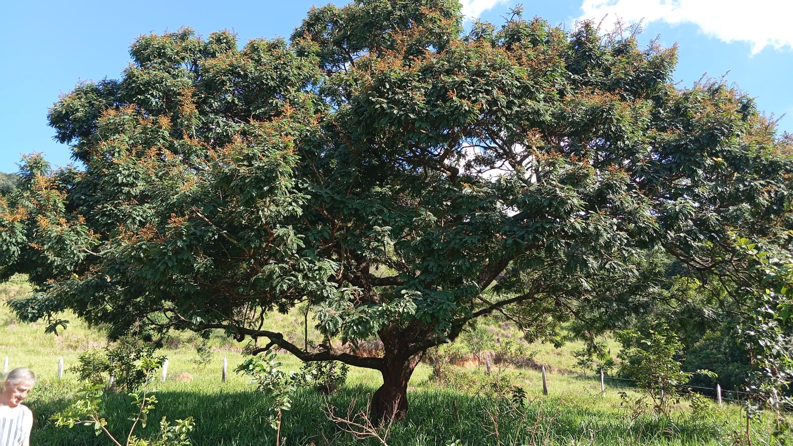 Terreno de 5.000m² Localização privilegiada: A apenas 3 km do centro de Extrema