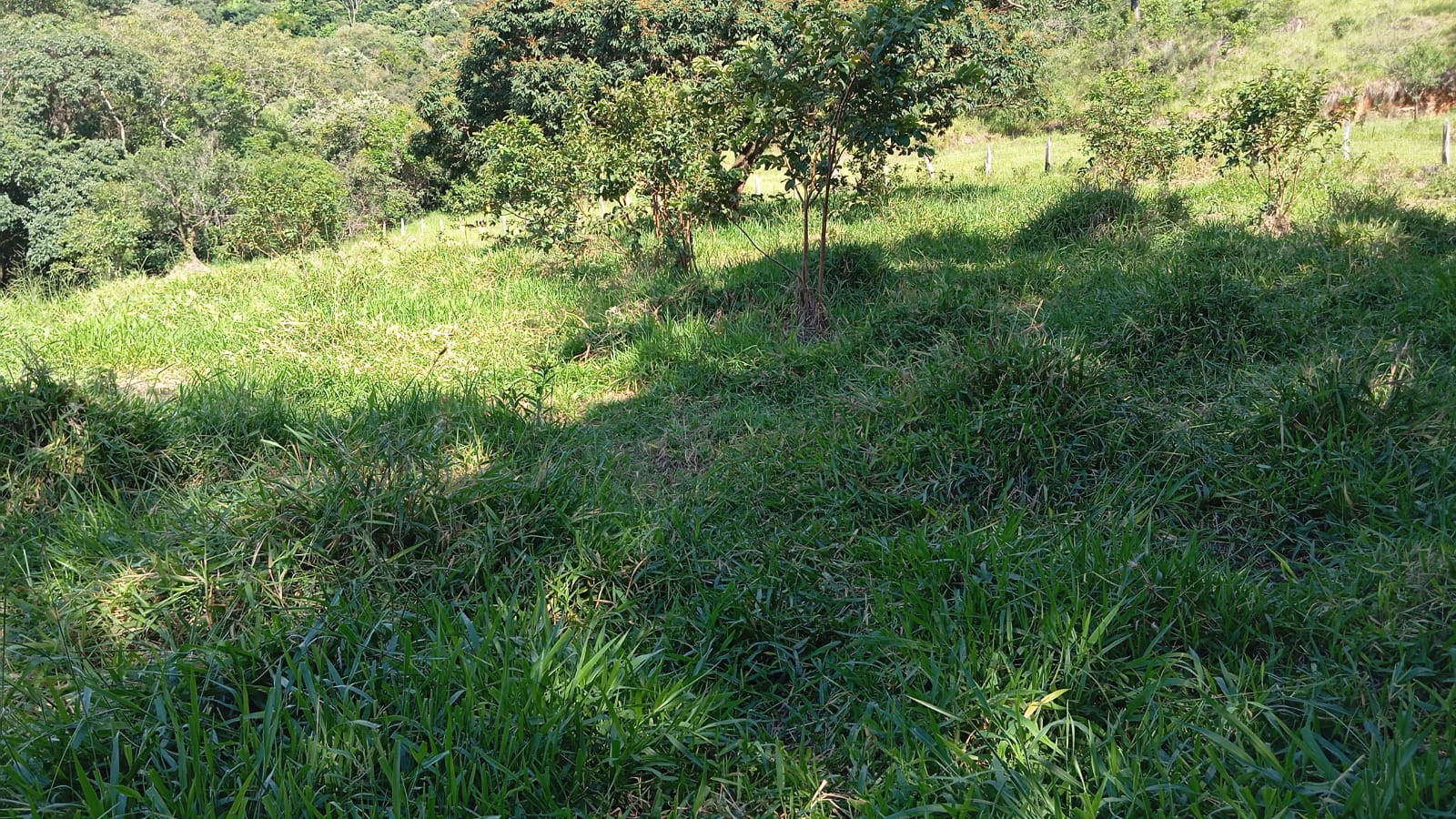 Terreno de 5.000m² Localização privilegiada: A apenas 3 km do centro de Extrema