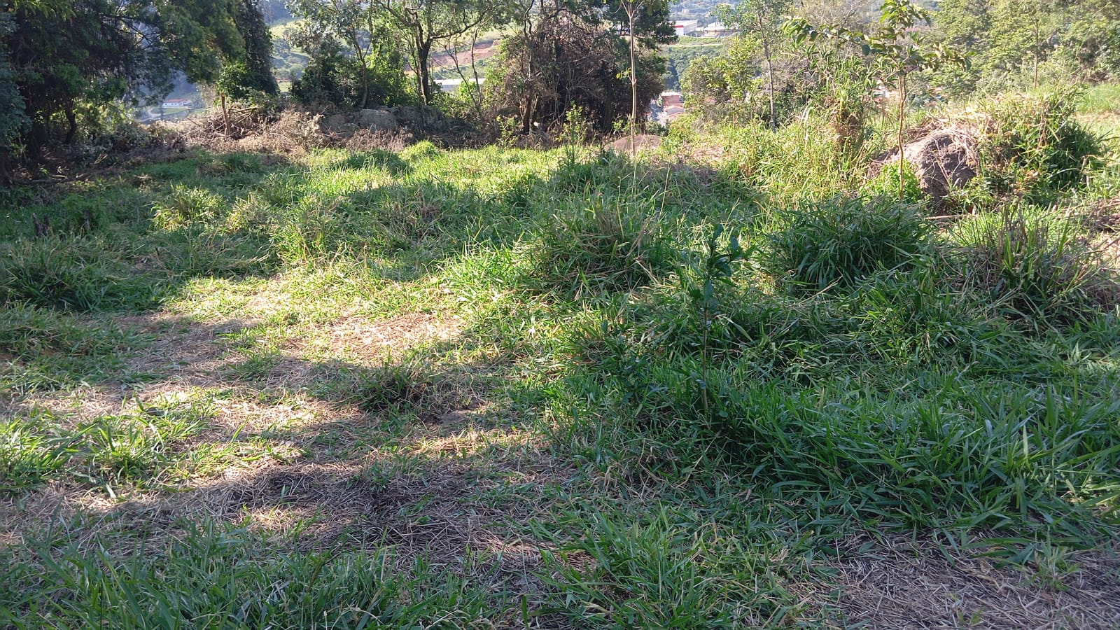 Terreno de 5.000m² Localização privilegiada: A apenas 3 km do centro de Extrema