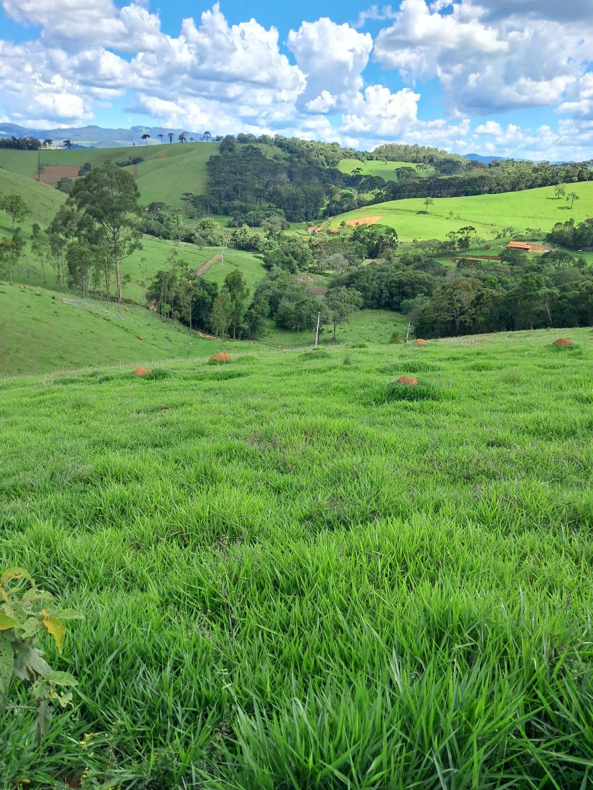 Belíssimo terreno localizado no município de Camanducaia à 7 km da cidade Cód. 1155