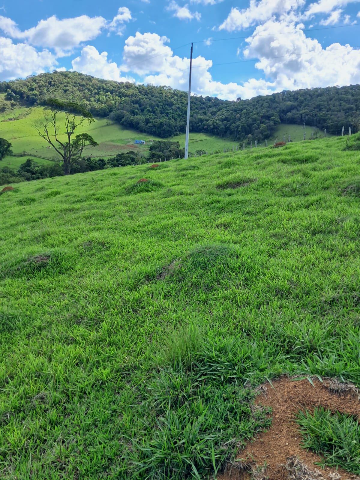 Belíssimo terreno localizado no município de Camanducaia à 7 km da cidade Cód. 1155
