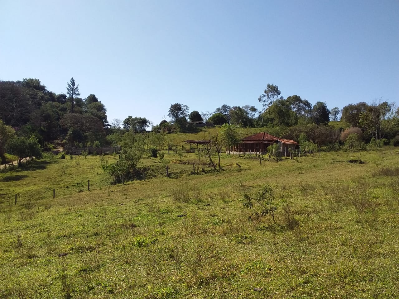 Sítio | Sítio - Casa de tijolo a vista, área gourmet, churrasqueira, lago | Itapeva - MG | código 1157