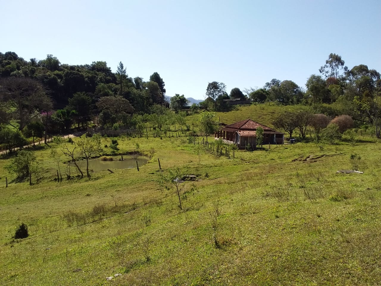 Sítio | Sítio - Casa de tijolo a vista, área gourmet, churrasqueira, lago | Itapeva - MG | código 1157