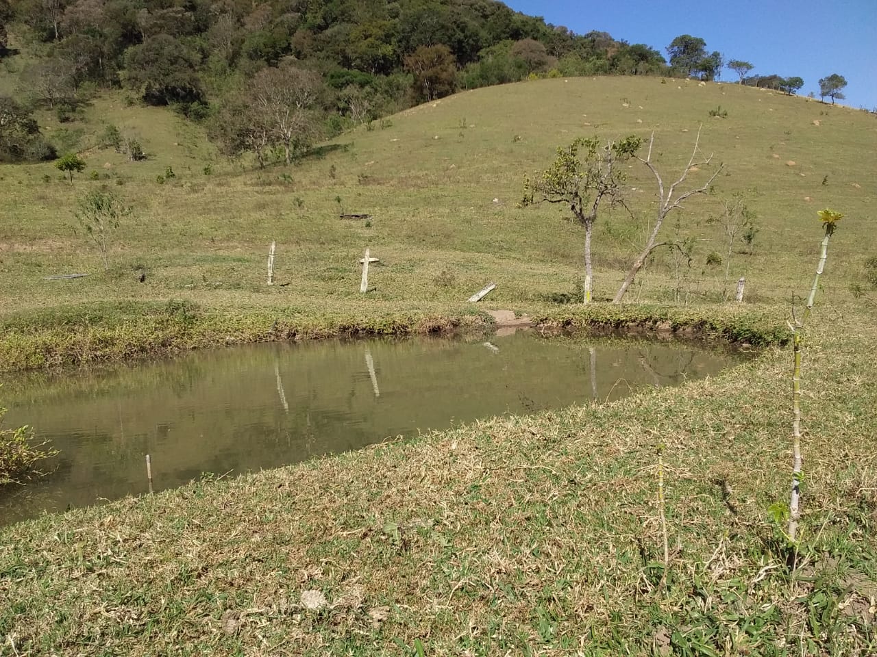 Sítio | Sítio - Casa de tijolo a vista, área gourmet, churrasqueira, lago | Itapeva - MG | código 1157