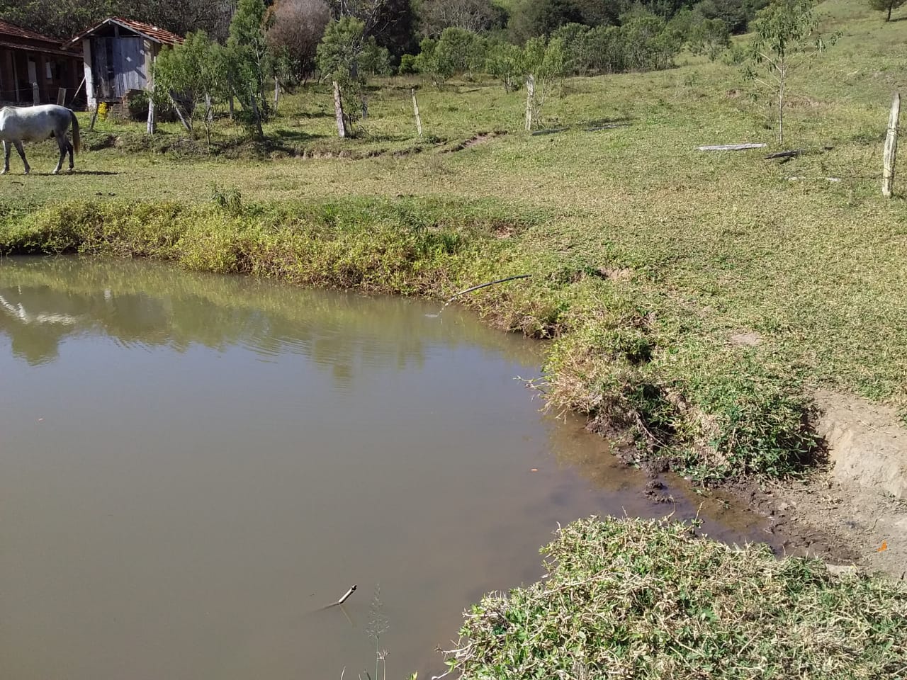 Sítio | Sítio - Casa de tijolo a vista, área gourmet, churrasqueira, lago | Itapeva - MG | código 1157