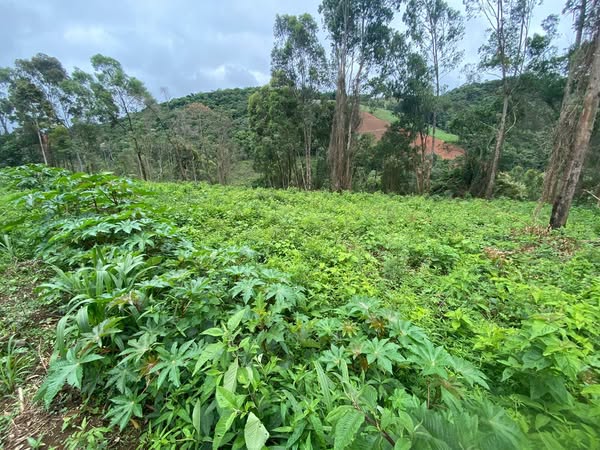 VENDE-SE. Excelente área para construção de chácara no município de Camanducaia-MG Cod. 1167