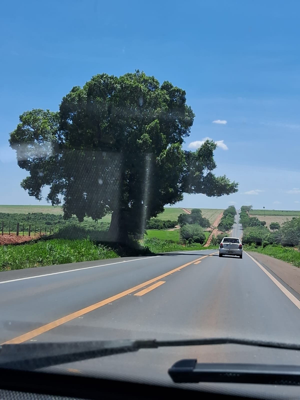 VENDE-SE. Excelente área para construção de chácara no município de Camanducaia-MG Cod. 1167