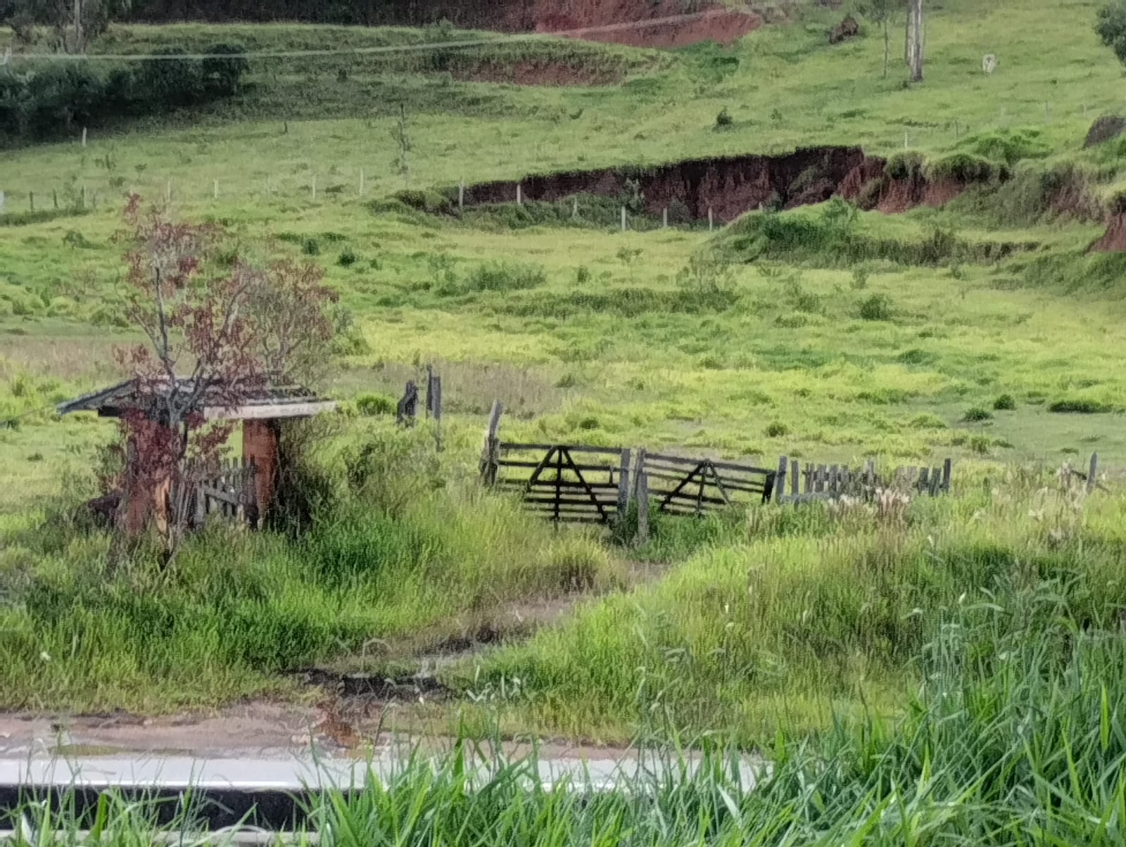 Área industrial com 11 mil metros frente para a Fernão Dias em Cambui - MG cod. 1169