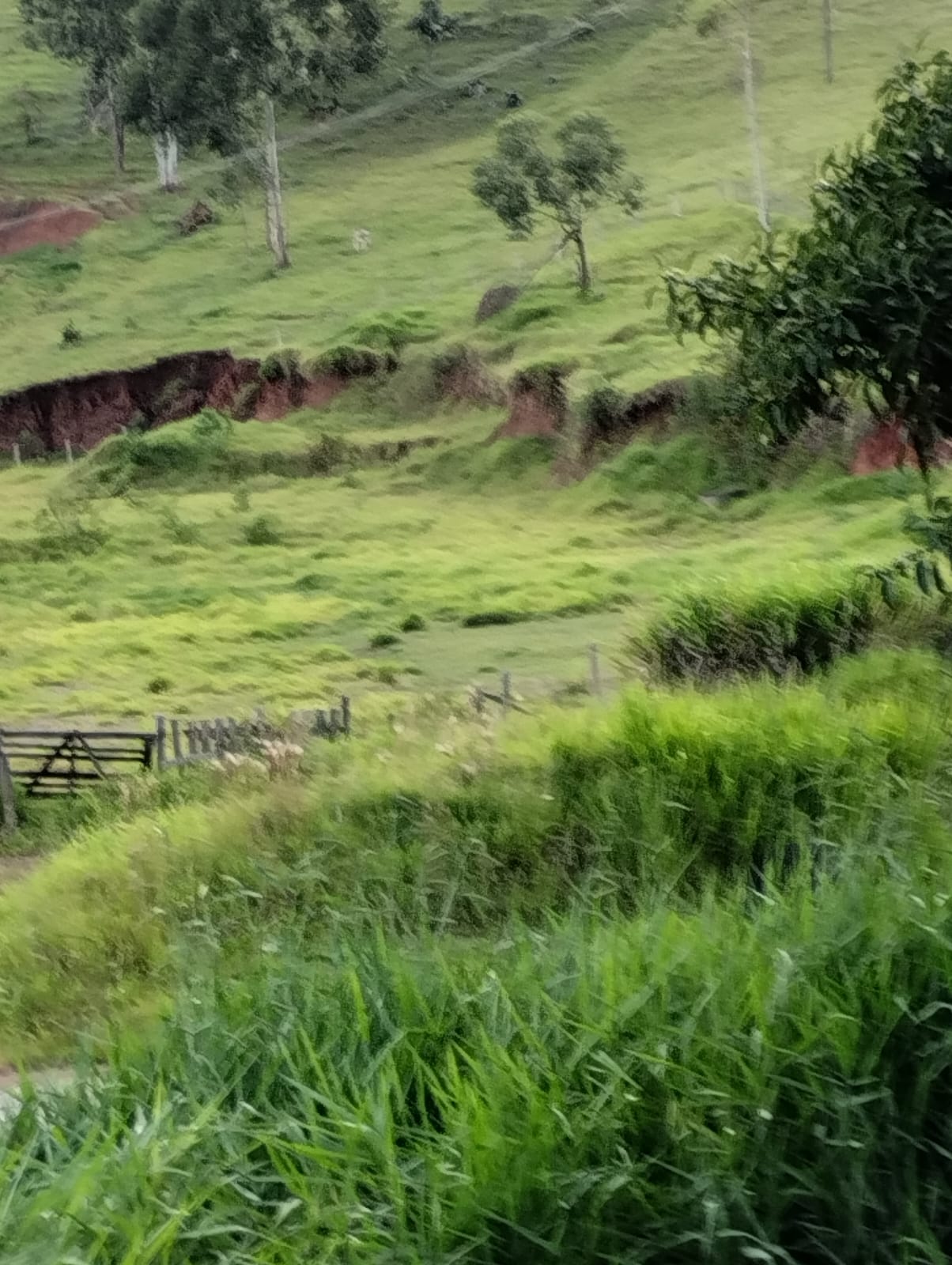 Área industrial com 11 mil metros frente para a Fernão Dias em Cambui - MG cod. 1169